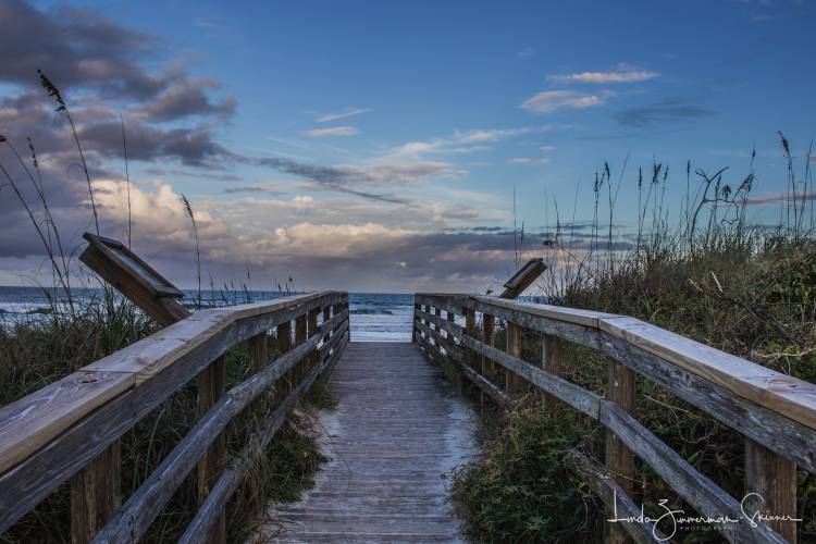 Beach Boardwalk