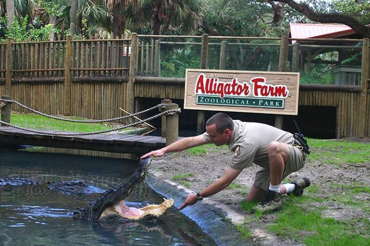 St. Augustine Alligator Farm 