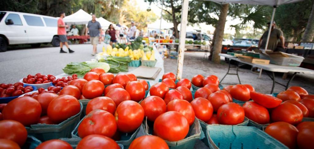 Photo Courtesy of https://www.theamp.com/farmers-market Photo Courtesy of https://www.theamp.com/farmers-market