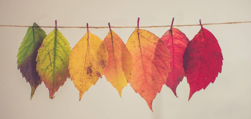 Photo Courtesy of https://unsplash.com/@chrislawton Photo Courtesy of https://unsplash.com/@chrislawton